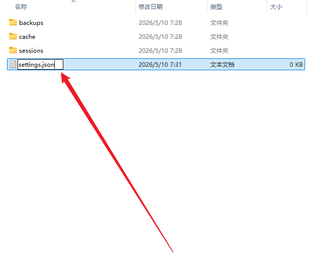 settings.json 文件