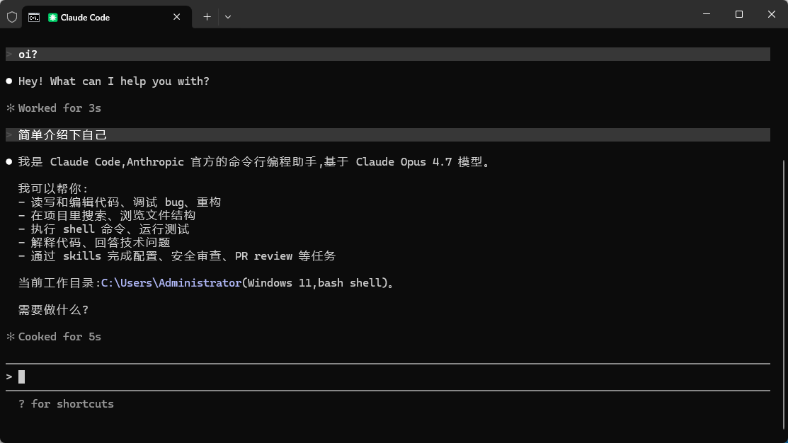 Claude Code 运行成功